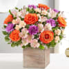 Bright and cheerful flower box with mixed orange, pink and lavender flowers.