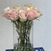 13 gorgeous long stem pink roses with light green highlights around the