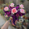 The &quot;Raspberry Cupcake&quot; Bouquet is a sweet dream featuring Pink roses, Purple