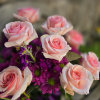 The &quot;Raspberry Cupcake&quot; Bouquet is a sweet dream featuring Pink roses, Purple