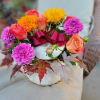This Autumnal Best Seller is a popular Choice the entire duration of