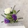 Standard- Your order will be arranged approximately as shown on our website.