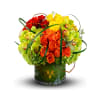 The vibrant mix of oranges, yellows, greens, and reds creates a lively
