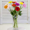 Tall arrangement of beautiful bright mixed colored gerberas with greens and bear