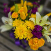 The &quot;Spring Equinox&quot; Bouquet is a wonderful assortment of yellow Daisy, Tulips