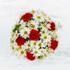 A modest gift that will make a lasting impression. Daisy Crazy by