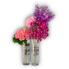 Roses, Orchids, Monstera, Hydrangea, calla lilies, roses