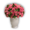 100 Roses