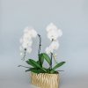 White phalaenopsis orchids, curly willow, moss and a unique ceramic jar! 
(Photo