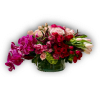 Roses, Spray Roses, Hydrangeas, Veronicas, Orchids, Tulips