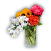 Roses, Orchids, Peonies, Sunflowers 