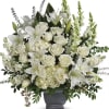 As hopeful as the bright horizon ahead, this glorious white bouquet of