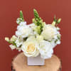 Meet Pearl! She&#039;s a delightful collection of fresh white flowers featuring Ecuadorian