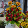 Amor de girasol