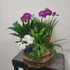 &quot;Give the gift of lasting beauty with our exquisite basket filled with