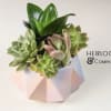 A geometric ceramic unicorn inspired container filled with a variety of succulents