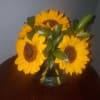 6 large sunflowers ina crystal buble vase with ruscus greenery.