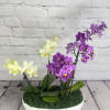 Our &quot;Orchid Delight&quot; is a captivating floral arrangement that brings natural beauty
