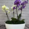 Our &quot;Orchid Delight&quot; is a captivating floral arrangement that brings natural beauty
