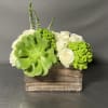Imported Ecuadorian roses, hydrangeas , and succulents arranged in a wood box.
