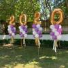 Number Sets come in either 2 or 4 for the year... Numbers