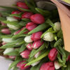 Beautiful bunch of 30  mixed tulips