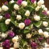 Royaly Colors in a Double Saddle casket spread that is centered on
