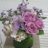 all shades of purple and lavender blooms pave&#039;