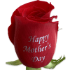 12 Roses Arranged in a Vase with greens, filler, and bow.
(6 Red