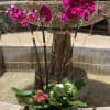 Beautiful orchids and Succulents in a wood box.