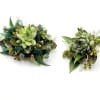 A boutonniere and wrist corsage set of succulents and green ribbon.

Depending on