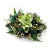 A wrist corsage set of succulents and green ribbon.

Depending on availability of