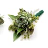 A boutonniere of succulents and green ribbon.

Depending on availability of ribbon, may