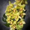 This pleasant arrangement has the dimensions of: a head of 18&quot; and