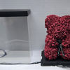 the teddy bear comes with:
box as shown in the picture.
zise 25 cm