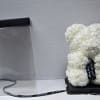 the teddy bear comes with:
box as shown in the picture.
zise 25 cm