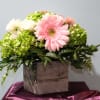 Vibrant green hydrangea, spray rose, pink Gerber daisy crowned with leather leaf