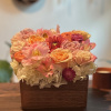 Don't be shy! This soft head-box style arrangement is perfect for showing
