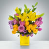 This arrangement is a sweet surprise for any recipient. Featuring a selection