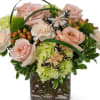 Show your appreciation with the Song of Gratitude bouquet. A pair of