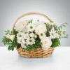 A peaceful white and green arrangement featuring our best selection of all