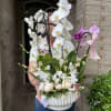Orchids ,tulips and foliage, exuberant and sophisticated to any occasion. 