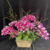 Gorgeous mini bouquet design.