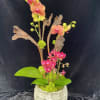 Double spikes novelty and mini with decorative branches. 