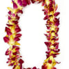 Fresh Handmade Orchid Lei, perfect for Graduations, Weddings and other events. 

Leis