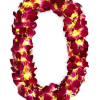 Fresh Handmade Orchid Lei, perfect for Graduations, Weddings and other events. 

Leis