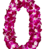 Fresh Handmade Orchid Lei, perfect for Graduations, Weddings and other events. 

Leis