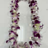 Single orchid lei Purple and white mix 