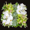 The Eternal Garden is the perfect, practical gift. Show your special someone