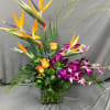 The vibrant colors of Birds of Paradise and jewel toned Orchids takes